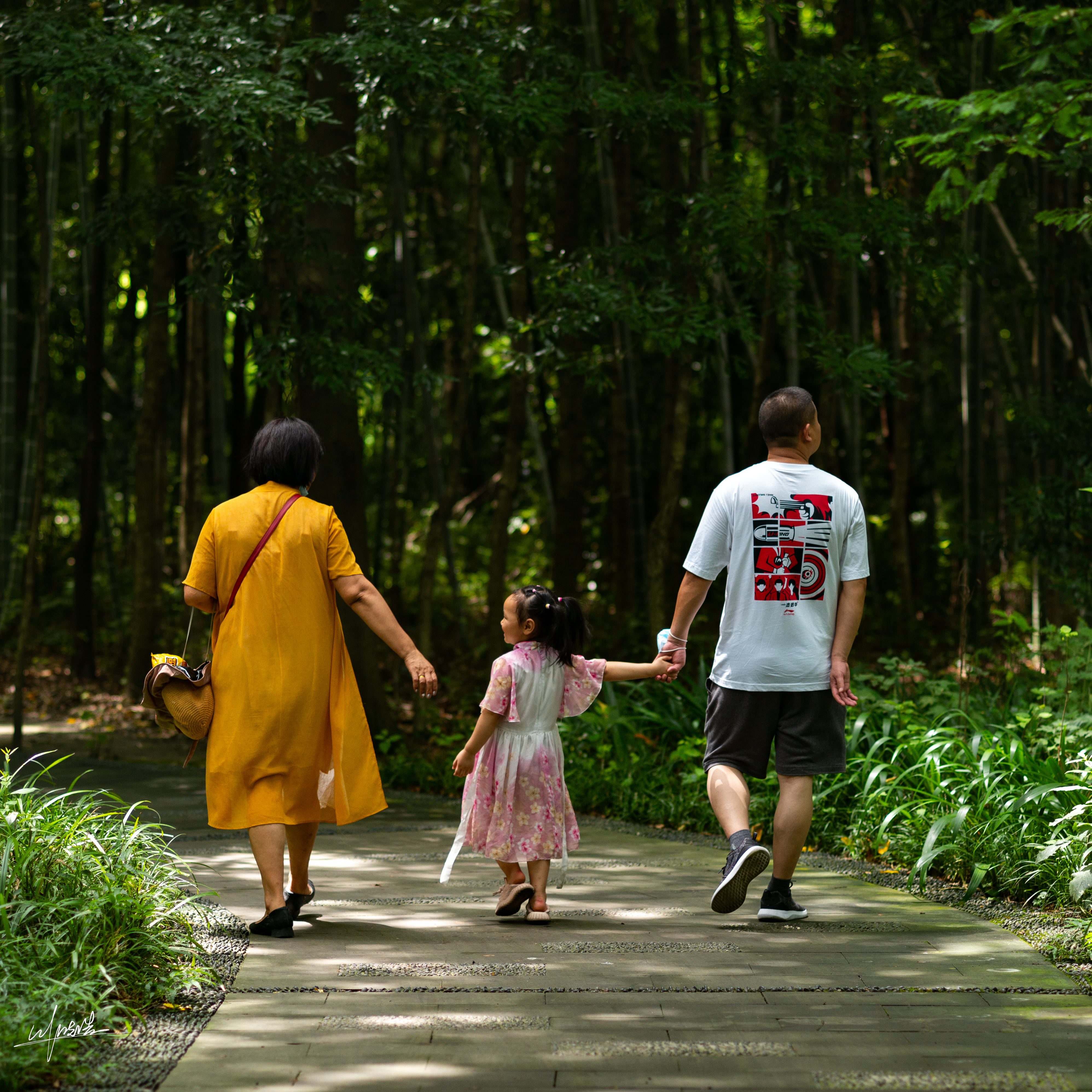 「读书笔记」《我和妈妈的最后一年》——当记忆化为灰烬，爱在余烬中灼烧灵魂